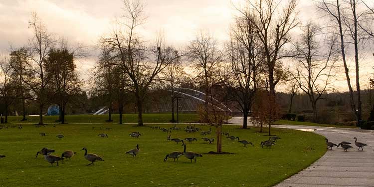 Stroll Around the Riverfront City Park