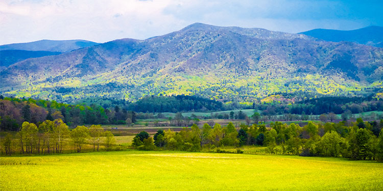 The Great Smoky Mountains National Park