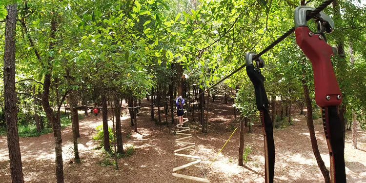 Tree Trek Adventure Park Zip Line