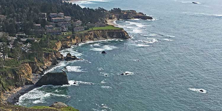 Whale Spotting and History at the Cape Foulweather 