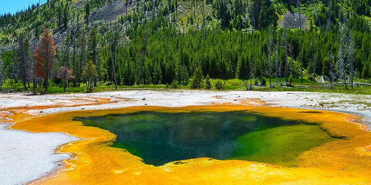 Yellowstone National Park