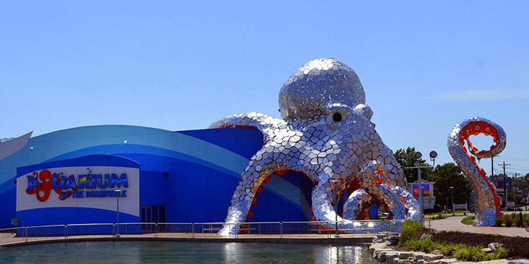 Aquarium At The Boardwalk Branson