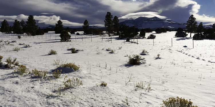 Arizona Snowbowl Ski Resort