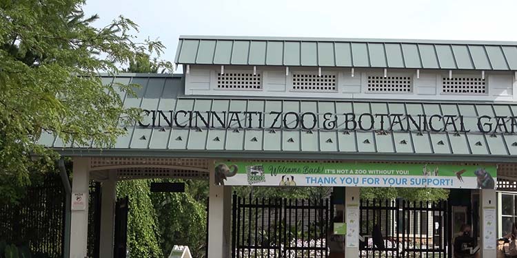 Cincinnati Zoo & Botanical Garden- Cincinnati