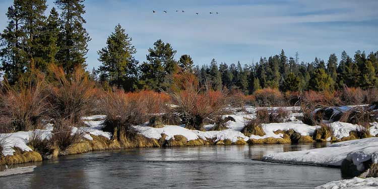 Explore the LaPine State Park