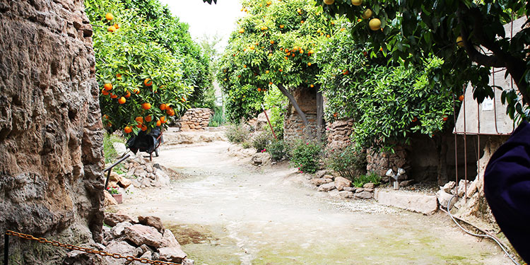 Forestiere Underground Gardens