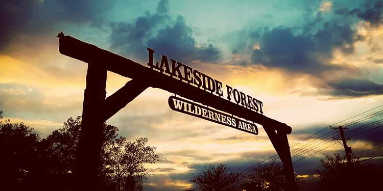 Go Hiking at the Lakeside Forest Wilderness Area