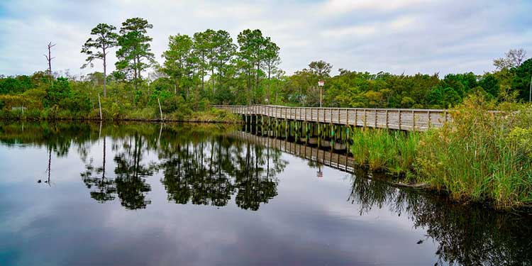 Go for a Walk at the Sandy Run Park