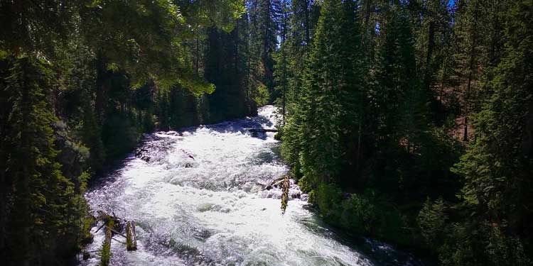 Go on a Hiking and Biking Adventure at the Benham Falls