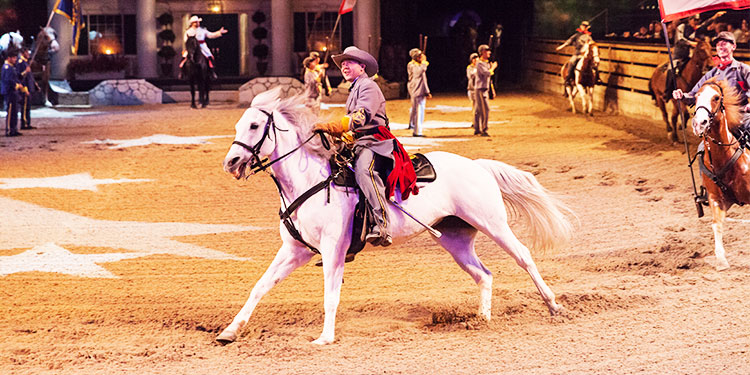 Horses at Dolly Parton’s Stampede