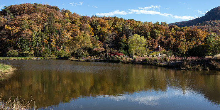 Lake Lure