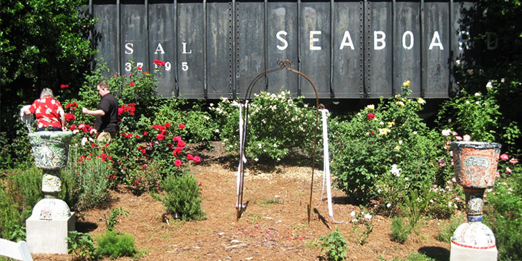 McGill Rose Garden