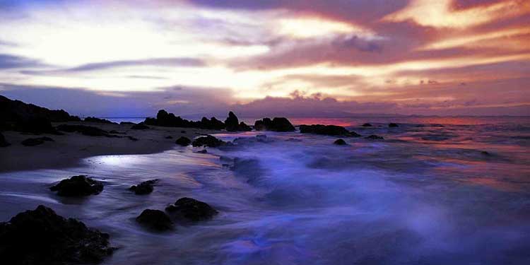 See the Colorful Blue Light Water at the Mosquito Bioluminescent Bay