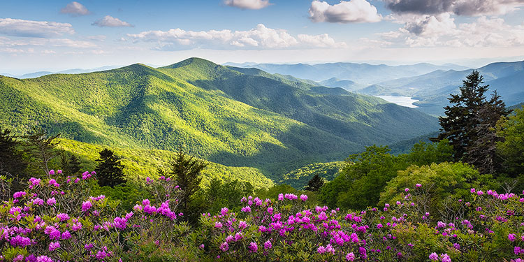 Mt. Mitchell State Park