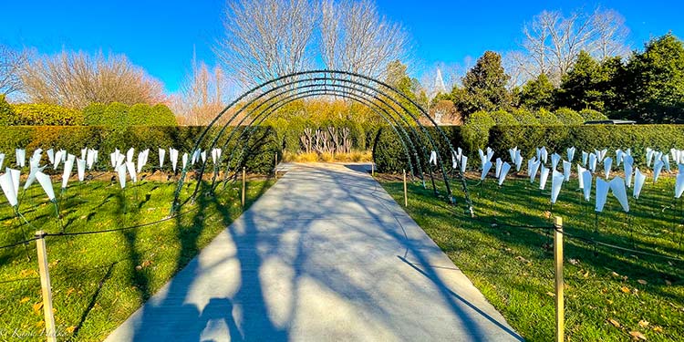 North Carolina Arboretum