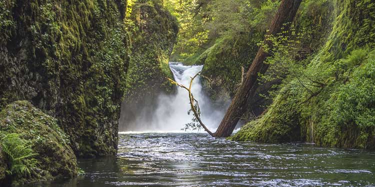 Punch Bowl Falls