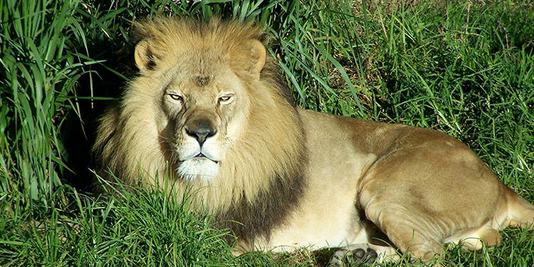 Santa Barbara Zoo