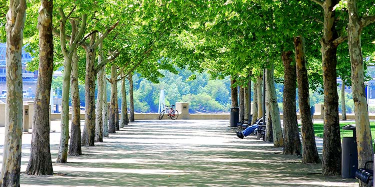 Sawyer Point Park