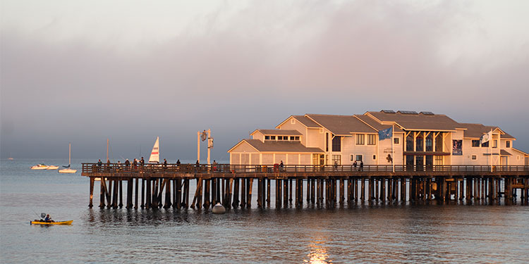 Stearns Wharf