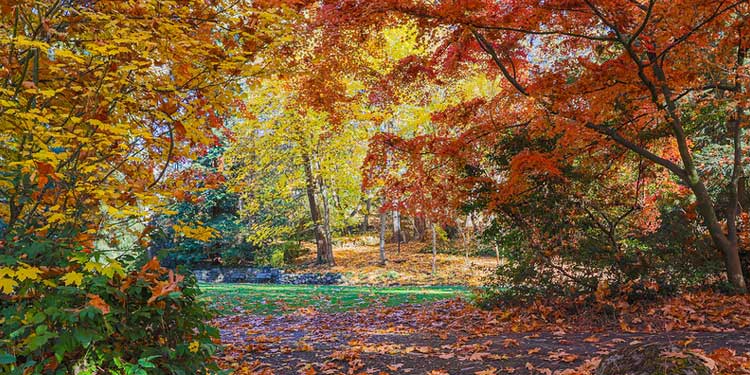 Stroll Around Lithia Park