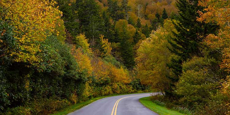 Take a Scenic Drive on the Blue Ridge Parkway