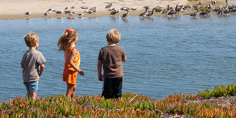 Things To Do in Santa Barbara with Kids