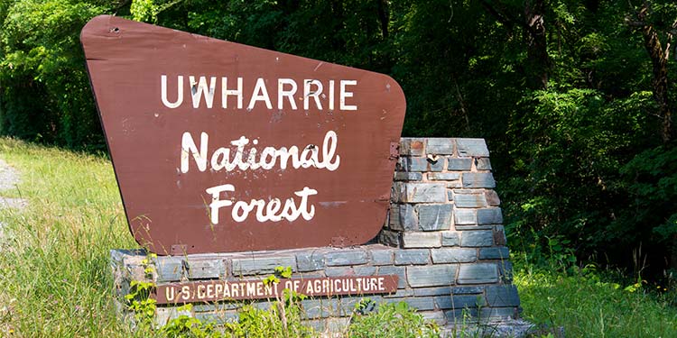 Uwharrie National Forest