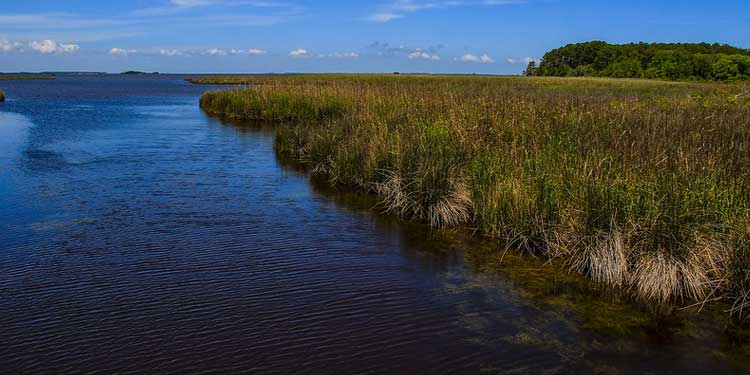 Visit the Currituck Banks Estuarine Reserve