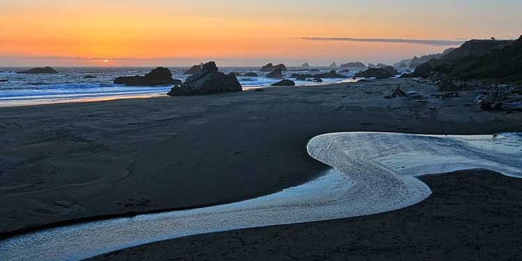 Visit the Harris Beach State Park