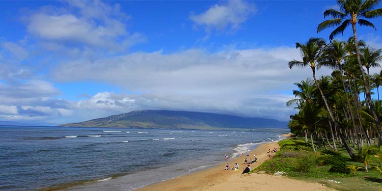 A Family-Friendly Beach