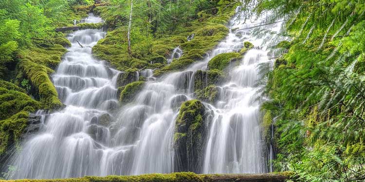 Admire the Beauty of Proxy Falls 