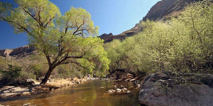 Adventurous Activities in Sabino Canyon