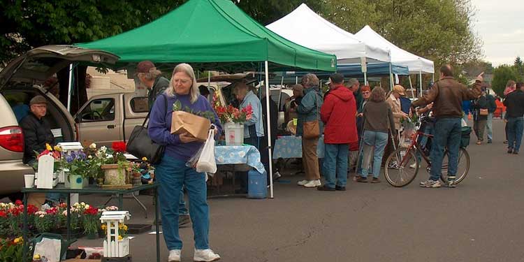 Albany Farmers Market