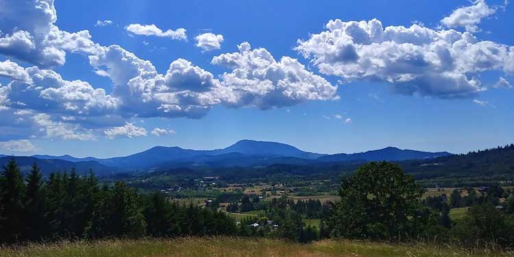 Admire the View From Bald Hill Natural Area