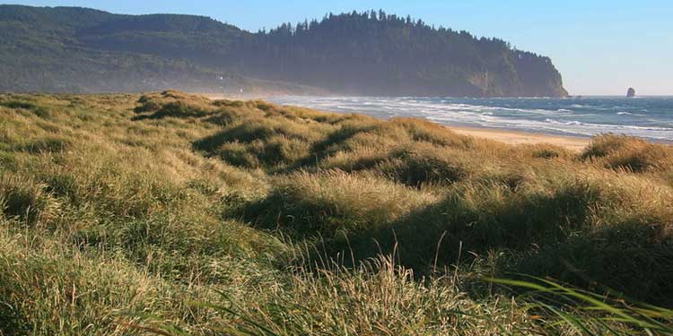 Coastal History and Scenic Views at Bayocean Peninsula Park