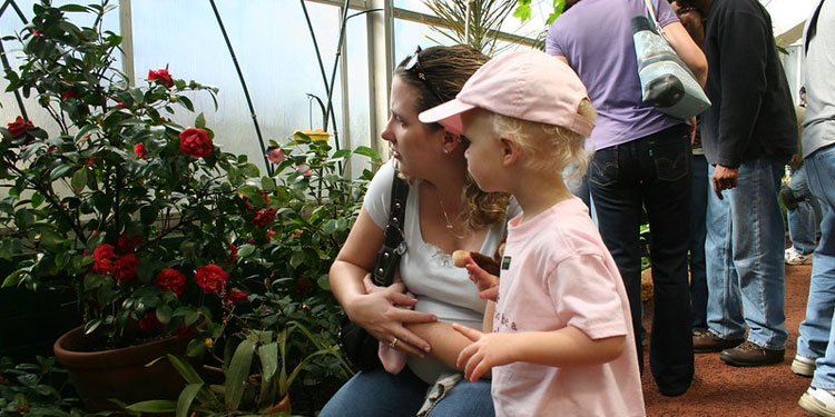 Butterfly Magic Show in Tucson Botanical Garden