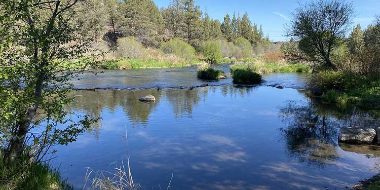 Visit Cline State Park