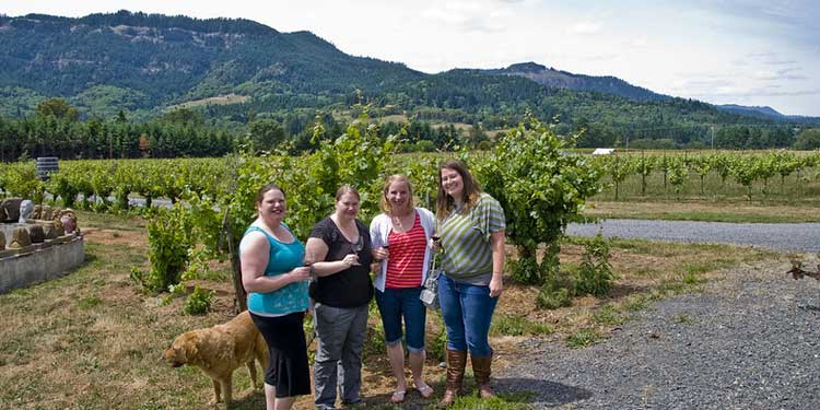 Go on a Wine Tasting Tour at Umpqua Valley