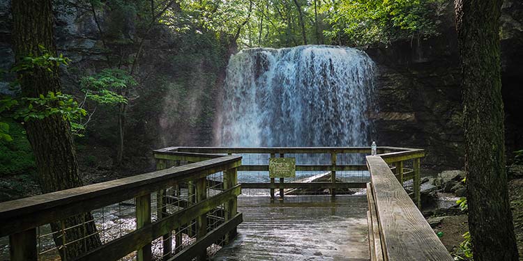 Hayden Falls Park