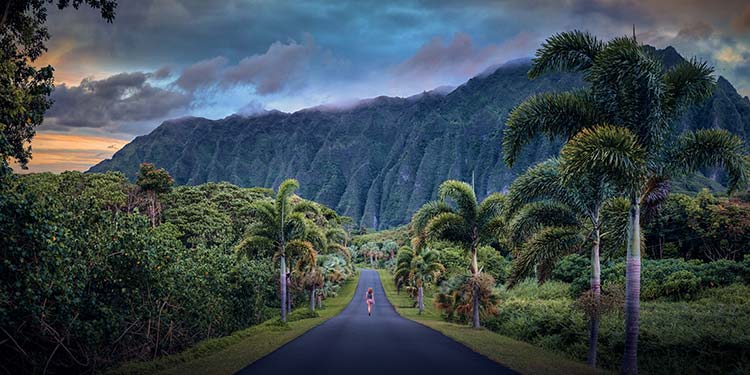 Ho'omaluhia Botanical Gardens