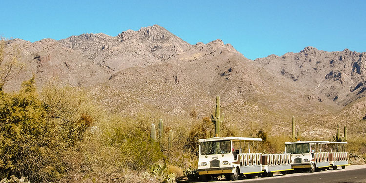 Hop on the Sabino Canyon Tram