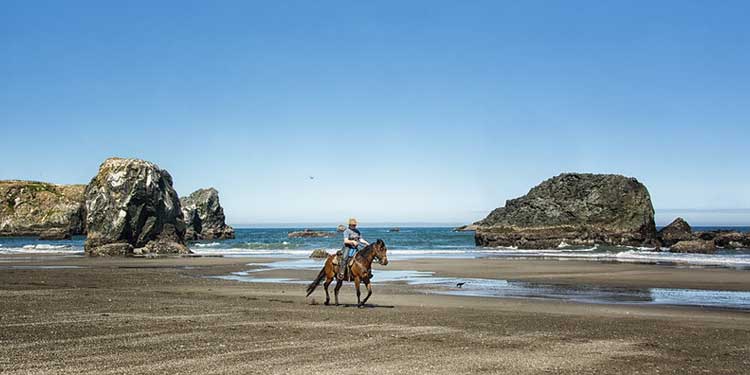 Go Horseback Riding at Beach with Bandon Beach Riding Stables