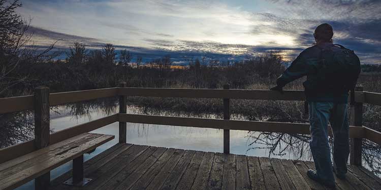 Walk Around Nature at Jackson Frazier Wetland