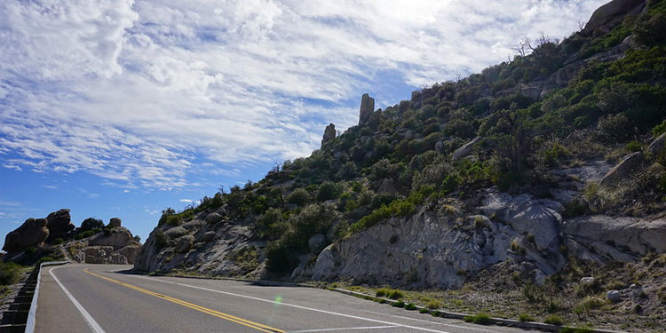 Long Drive on Mt. Lemmon Scenic Byway