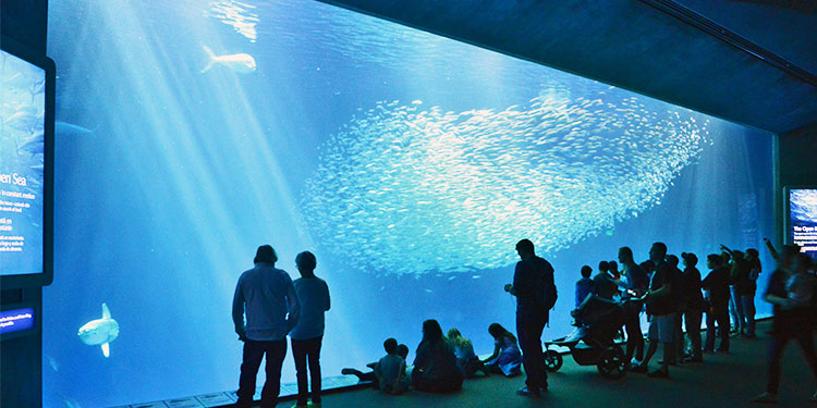 Monterey Bay Aquarium