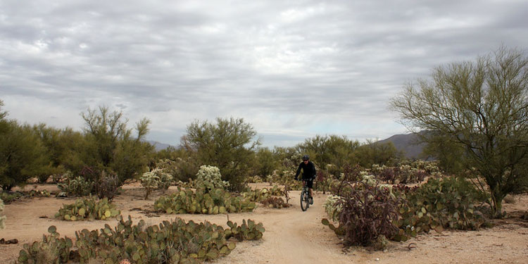 Mountain Biking on Fantasy Island Trailhead