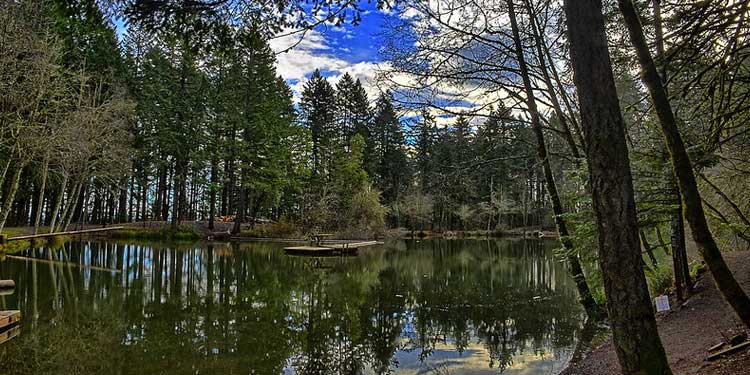 Hike the Peavy Arboretum