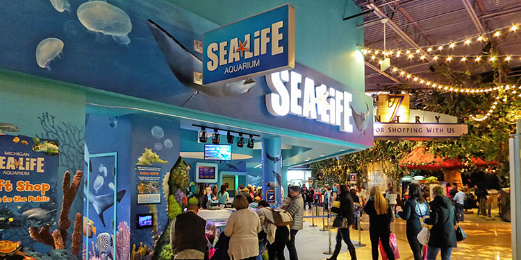 SEA LIFE aquarium