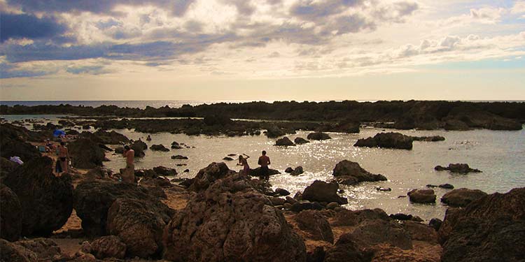 Shark’s Cove