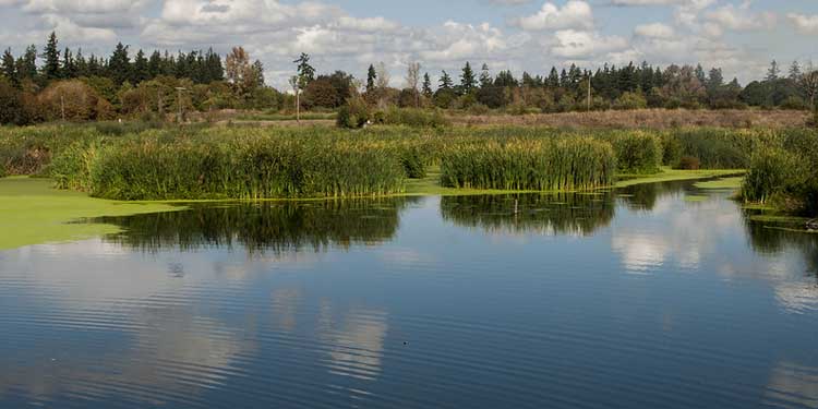 Nature Walk at Talking Water Gardens